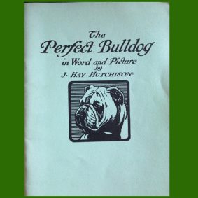 "The Perfect Bulldog"